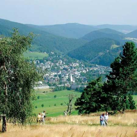 Diemelgarten Διαμέρισμα Willingen (Upland)